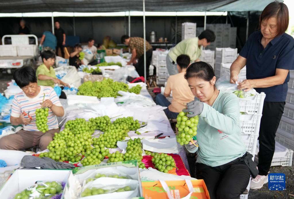 梭哈手游下载